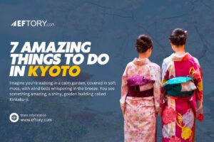 Things to do in Kyoto