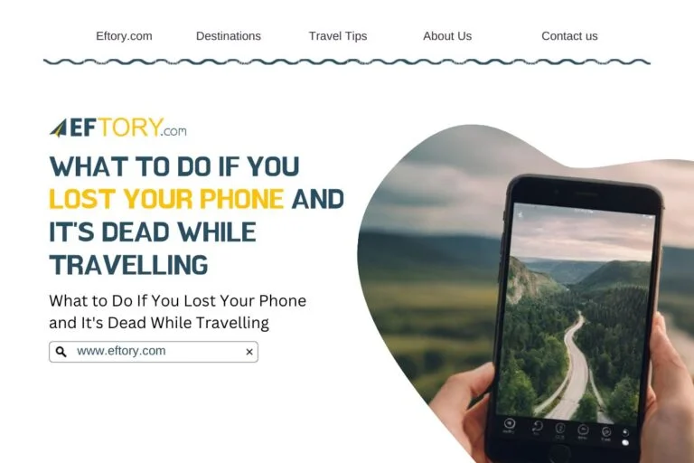 What to Do If You Lost Your Phone and It's Dead?