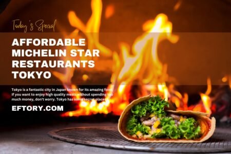 Affordable Michelin Star Restaurants Tokyo