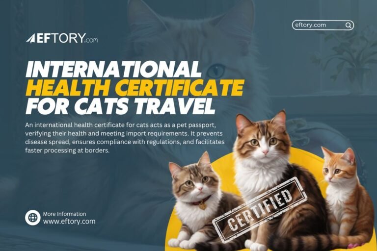 International Health Certificate for Cats Travel