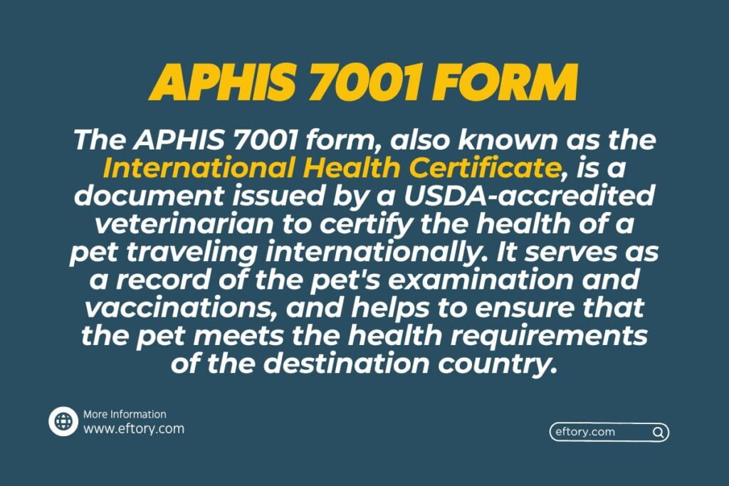 International Health Certificate for Cats