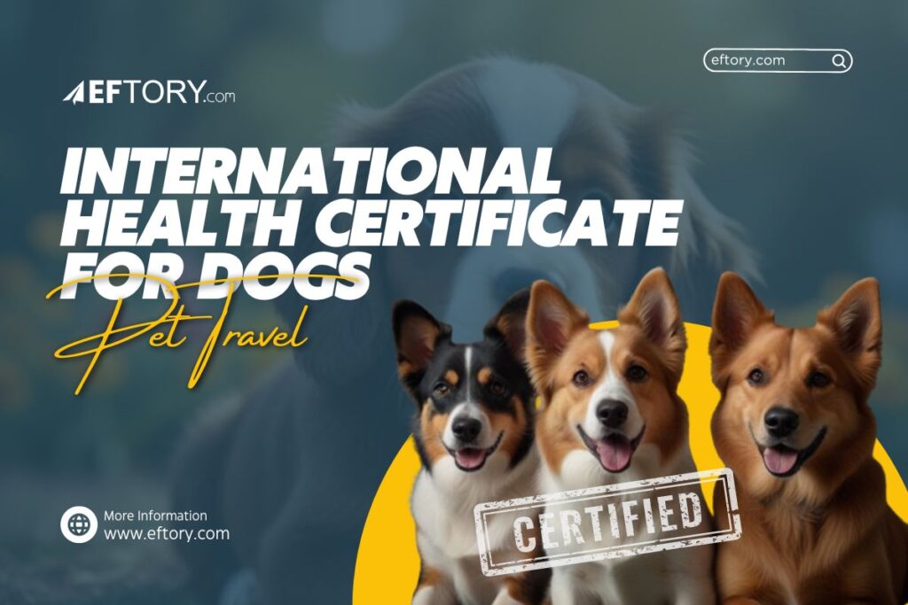 International Health Certificate for Dogs (June 2025) International Health Certificate for Dogs (June 2025)