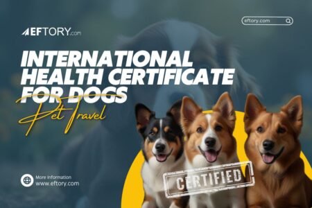 International Health Certificate for Dogs