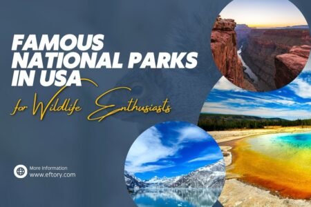 Famous National Parks in USA for Wildlife Enthusiasts