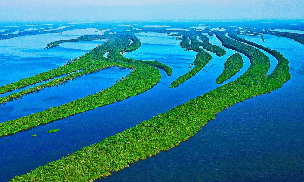 Amazon River