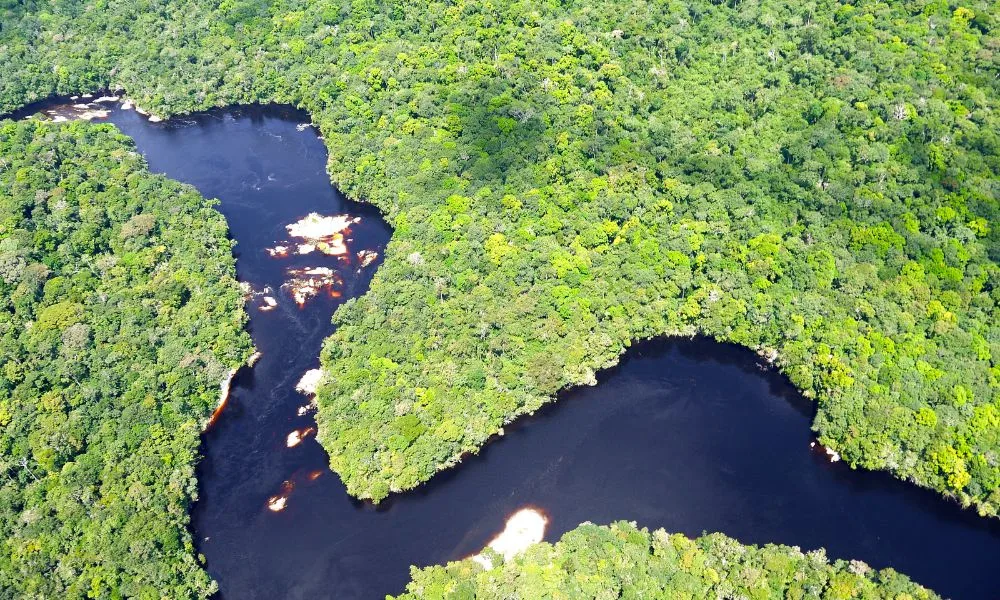 Amazon River