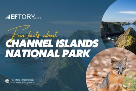 Fun Facts about Channel Islands National Park