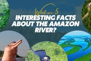 What Are 5 Interesting Facts About The Amazon River? What Are 5 Interesting Facts About The Amazon River?