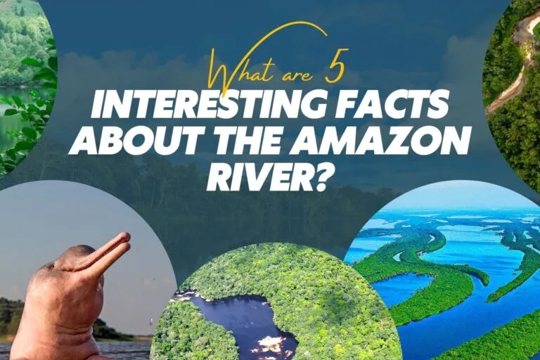 What Are 5 Interesting Facts About The Amazon River? What Are 5 Interesting Facts About The Amazon River?