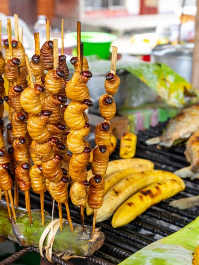 10 Destinations That Are Famous For Rare Or Exotic Dishes