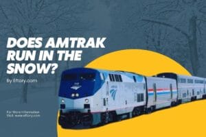 Does Amtrak Run in the Snow?